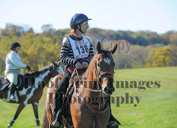 Cheshire(10-19-14)0289