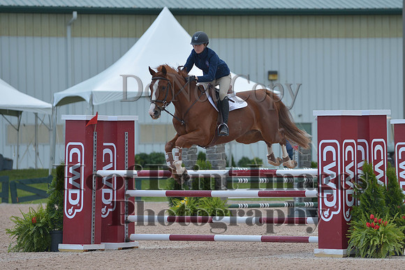 BRSa(5-17-14)HChAdJ0228