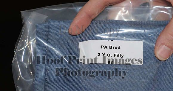 PHSA(1-17-15)0094