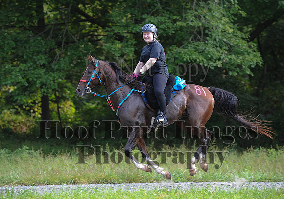 ChesapeakeCTR(9-20-14)0160