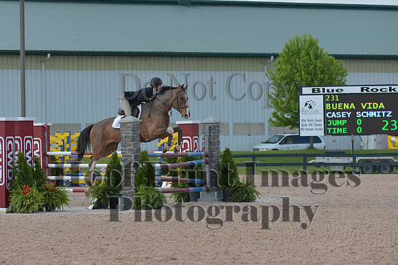 BRSa(5-17-14)HChAdJ0111