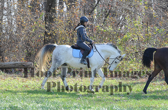 AndrewsBr(11-9-14)0131