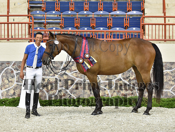 CWdressageI(8-20-16)1694