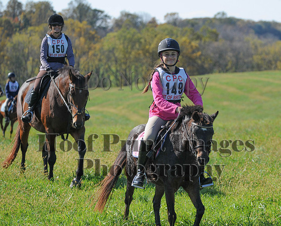 Cheshire(10-20-13)0449
