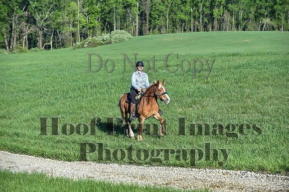 ChesapeakeSpring(4-27-25)0094