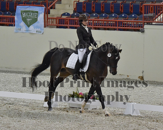 CWdressageII(8-21-16)2079
