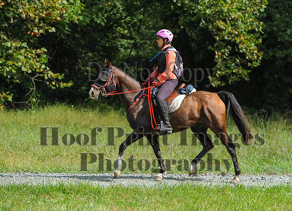 ChesapeakeCTR(9-20-14)0552