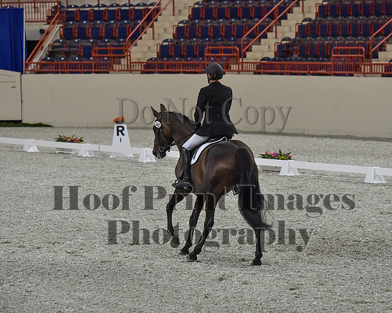 CWdressageII(8-21-16)0360
