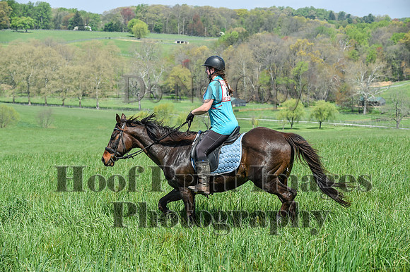 CheshireSpringPC1(4-28-24)0124