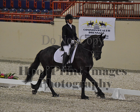 CWdressageII(8-21-16)1244