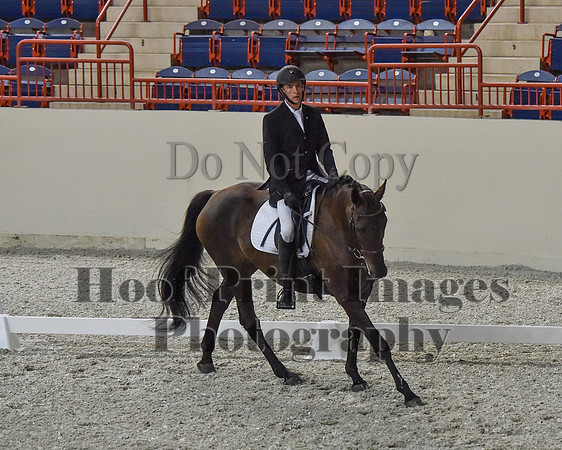 CWdressageII(8-21-16)0364