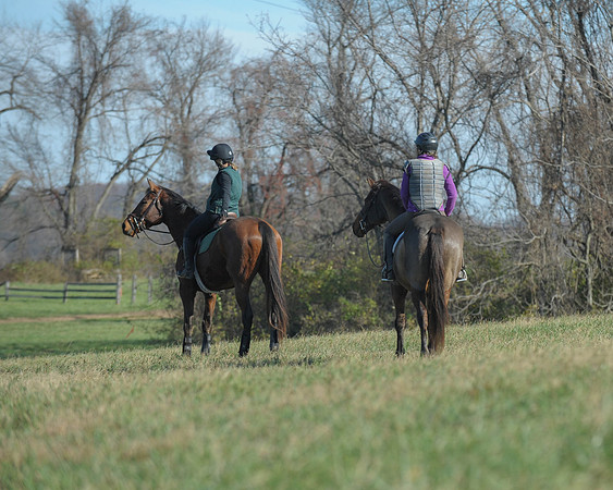 BHPC(11-15-15)0095