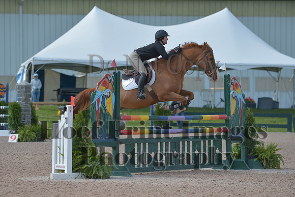 BRSa(5-17-14)HChAdJ0128