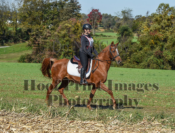 CheshirePC(10-18-20)0476