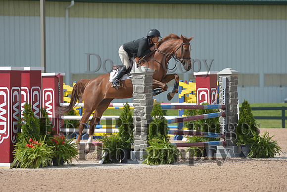 BRSa(5-17-14)HChAdJ0072