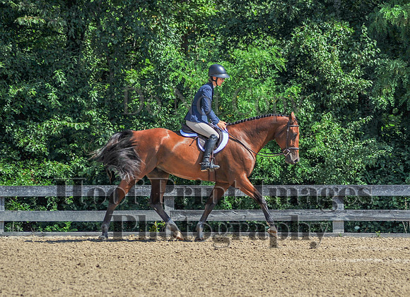 MidSummerStrollerFri(7-19-24)0158