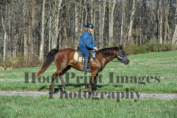 ChesapeakeSpring(4-10-22)0467