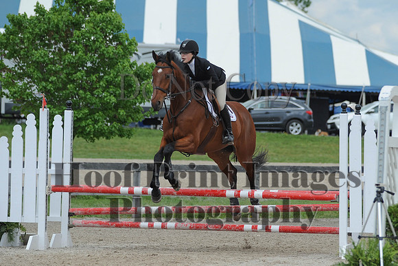BRSa(5-17-14)0.8mJCl0066