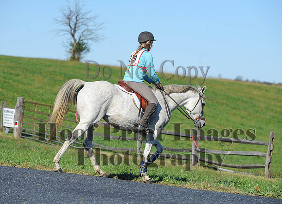 Cheshire(10-19-14)0477