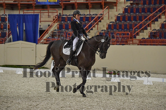 CWdressageI(8-20-16)0703
