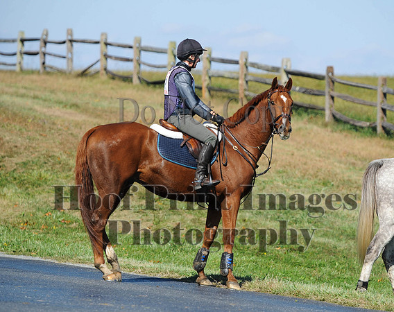 Cheshire(10-20-13)0301