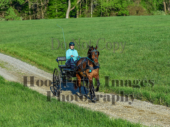 ChesapeakeSpring(4-27-25)0038