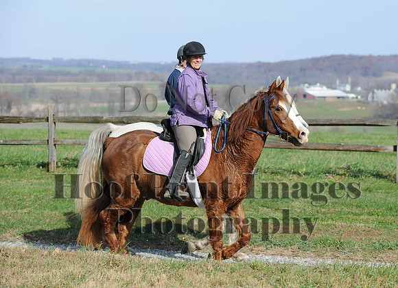 AndrewsBr(11-9-14)0232