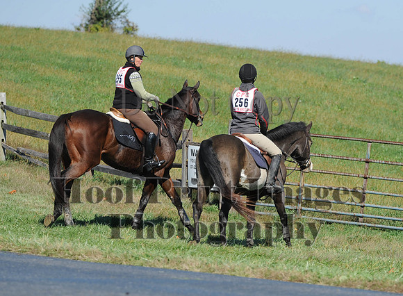 Cheshire(10-20-13)0123