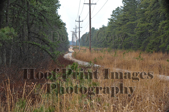 Rabbit(3-29-14)0210