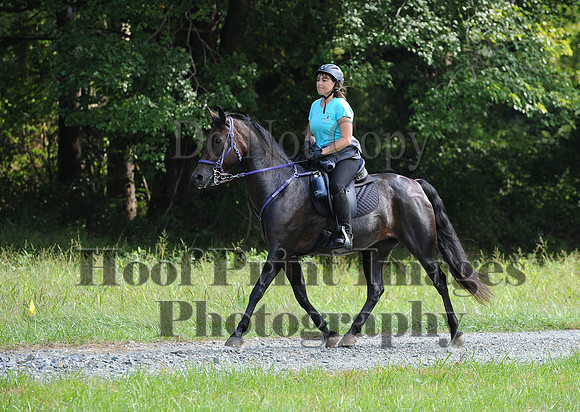 ChesapeakeCTR(9-20-14)0374