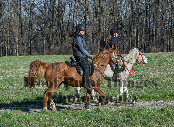 ChesapeakeSpring(4-10-22)0516