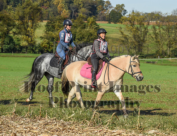 CheshirePC(10-18-20)0166