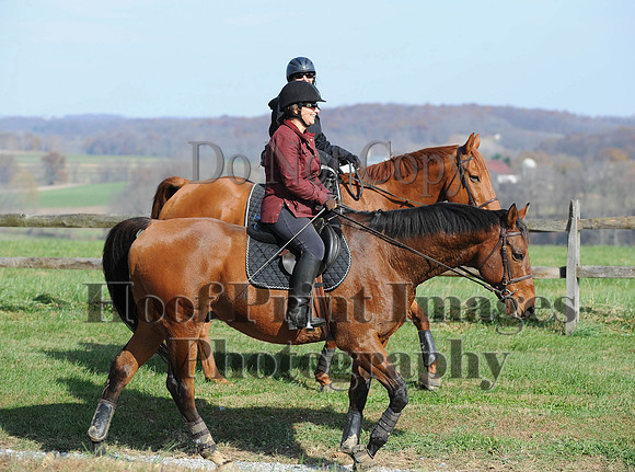 AndrewsBr(11-9-14)0245