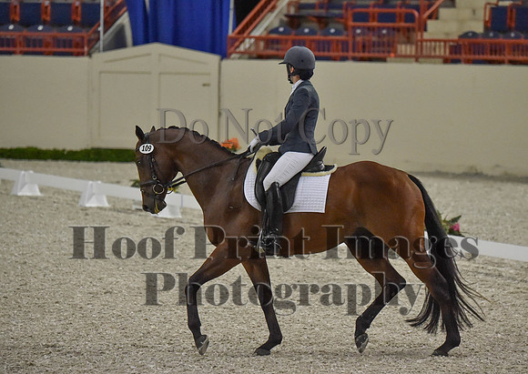 CWdressageI(8-20-16)0345