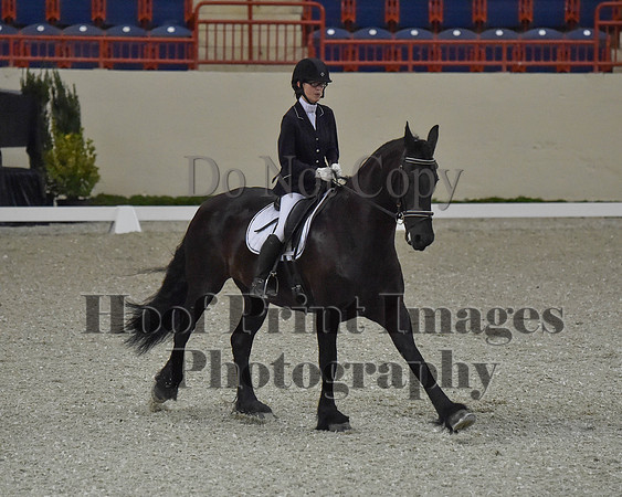 CWdressageII(8-21-16)1519