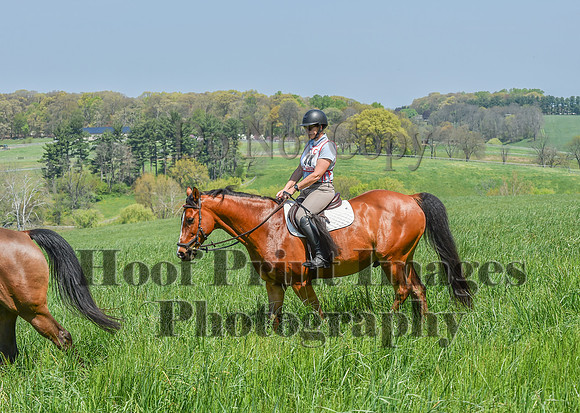 CheshireSpringPC1(4-28-24)0311