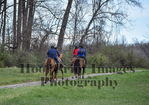 ChesapeakeSpring(4-10-22)0206