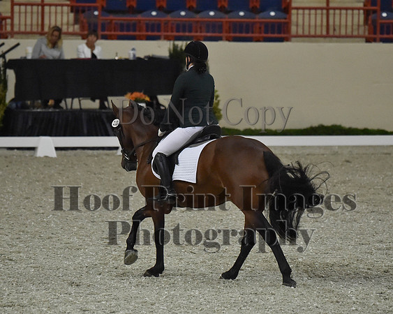 CWdressageII(8-21-16)1293