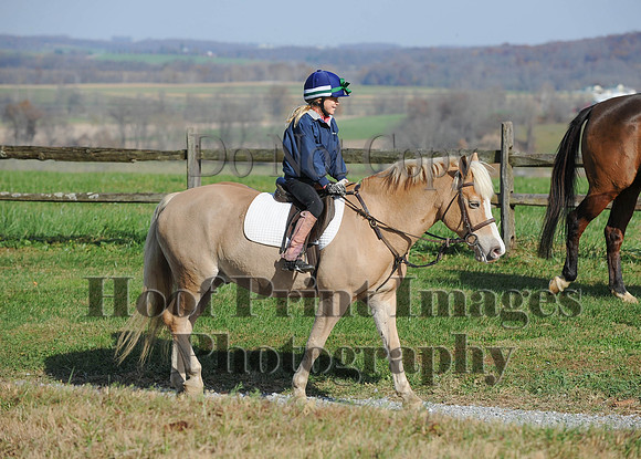 AndrewsBr(11-9-14)0163
