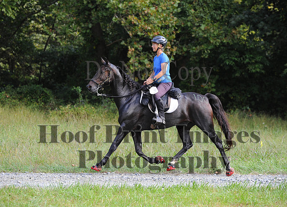 ChesapeakeCTR(9-20-14)0340