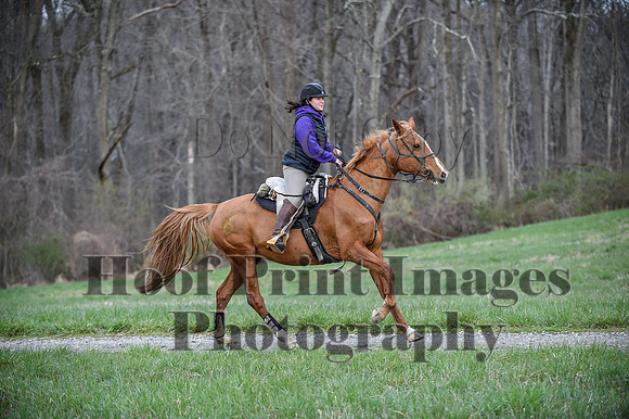 ChesapeakeSpring(4-10-22)0190