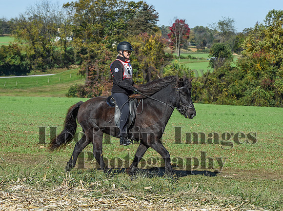 CheshirePC(10-18-20)0309