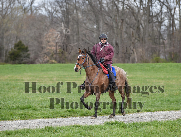 ChesapeakeSpring(4-10-22)0585