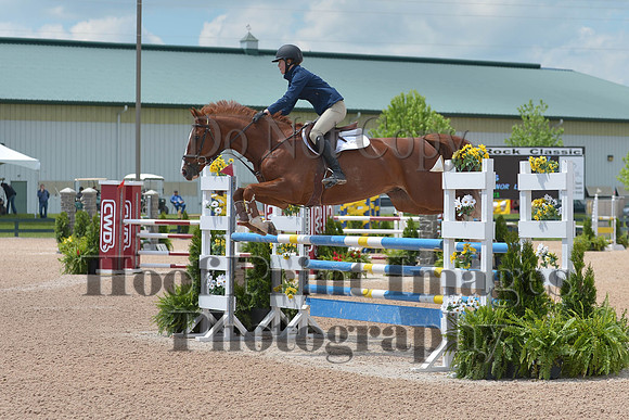 BRSa(5-17-14)HChAdJ0230