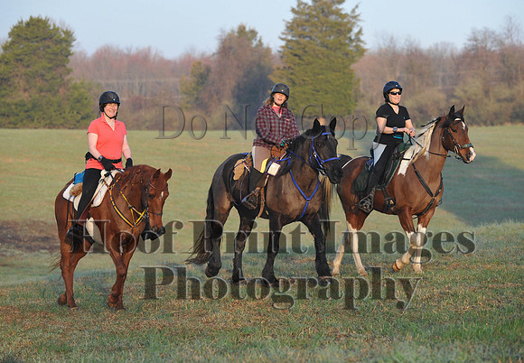 Foxcatcher(4-12-14)0237