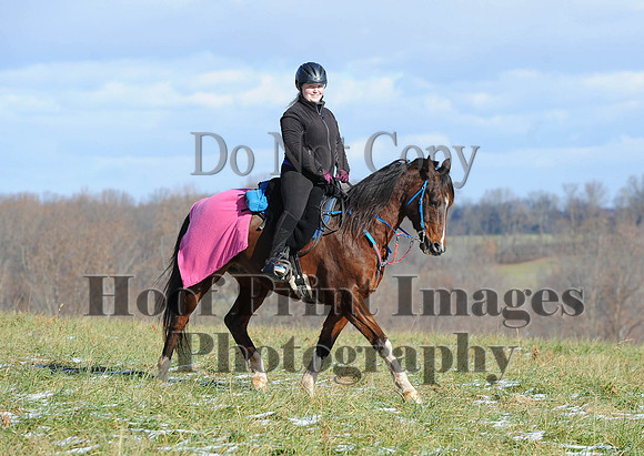 FairHill(11-28-14)0020