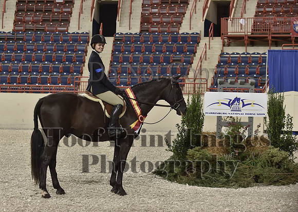 HarrisburgHS(8-23-15)1154