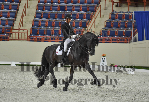 CWdressageI(8-20-16)1659