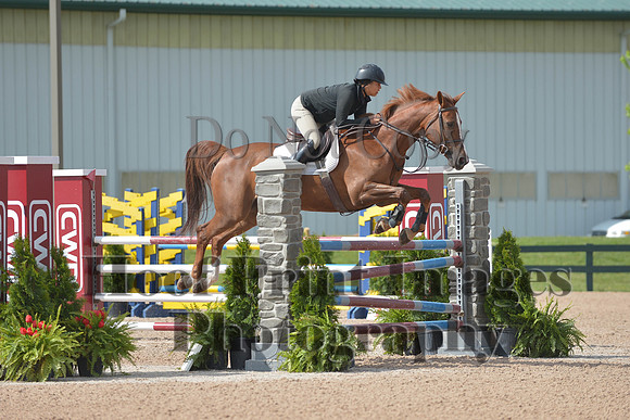 BRSa(5-17-14)HChAdJ0073