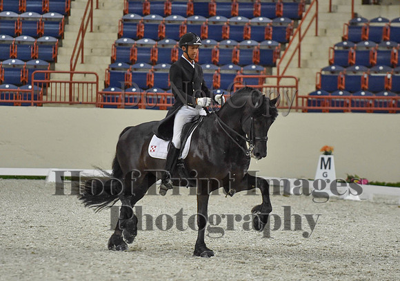 CWdressageI(8-20-16)1658